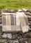 “Flow” bath towel in organic cotton (oyster One Size)