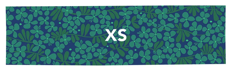 XS