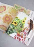 My Portfolio - Gudrun's 40 years as a designer (english version One Size)