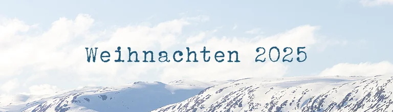 Christmas collection 2025