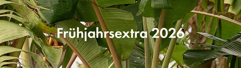 Spring extra collection 2026