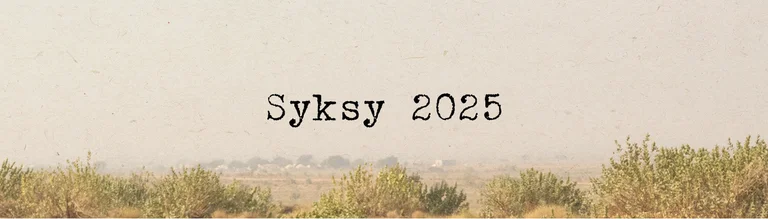 Autumn collection 2025