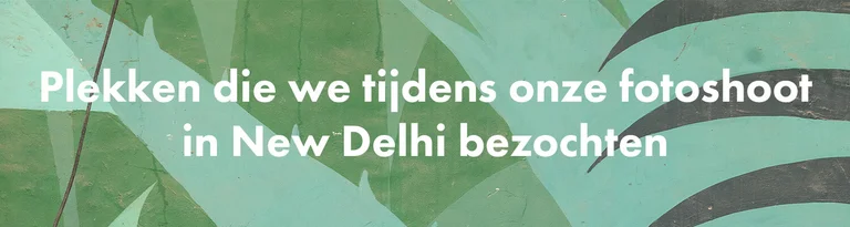 Gudrun’s travel tips in India