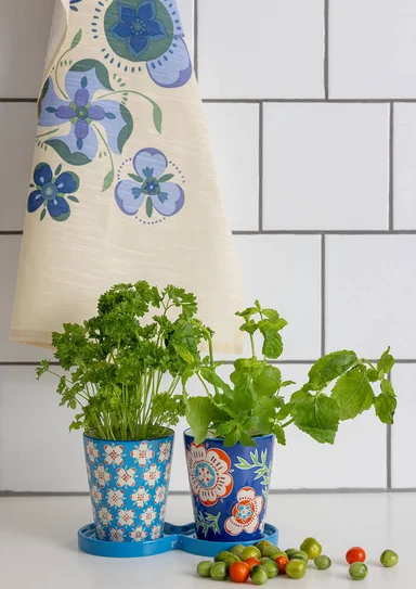 “Desert Bloom” ceramic herb pots