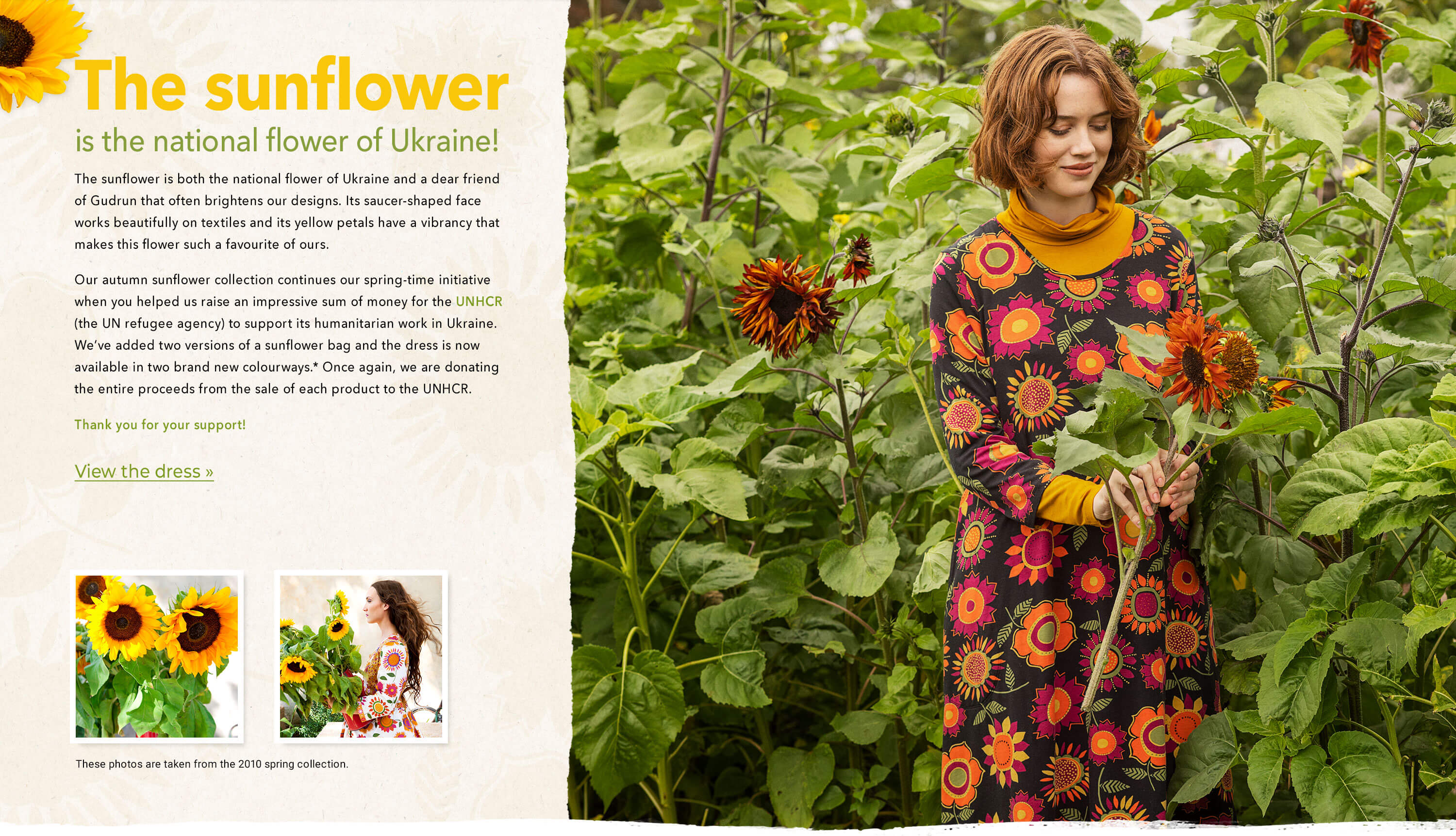 The sunflower is the national flower of Ukraine