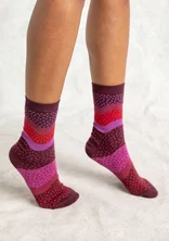 Chaussettes "Siv" en coton biologique - aubergine