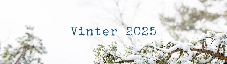 Winter collection 2025