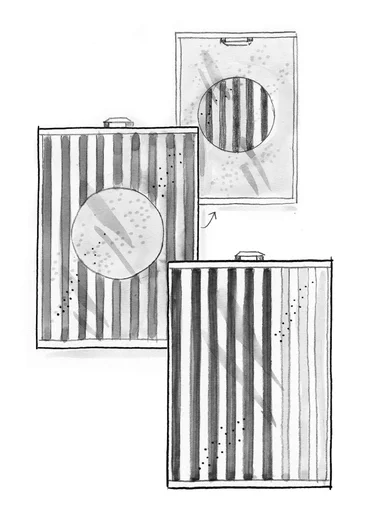 Essuie-mains "Sunset" en coton biologique, lot de 2 - cochenille