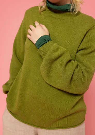 Pull en laine - avocat