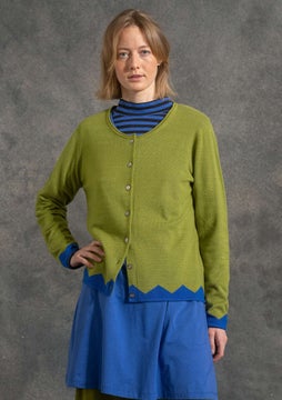 Wool/cashmere cardigan kiwi