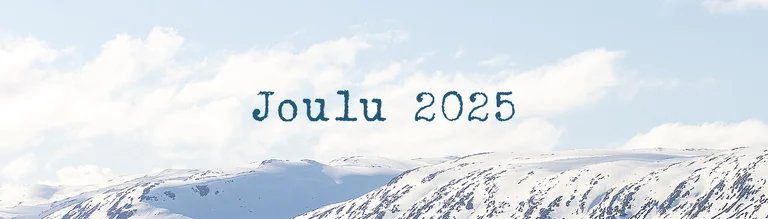 Christmas collection 2025