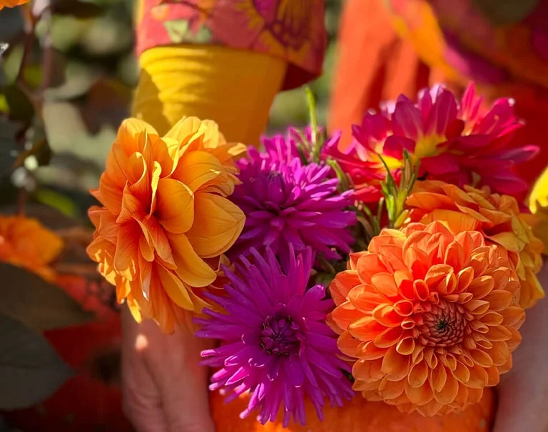Hands arranging a bouquet of flowers in a vase made from a hollowed-out pumpkin.