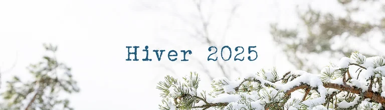 Winter collection 2025