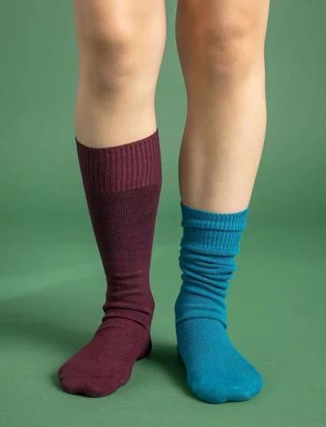 Solid-colored knee-highs in organic cotton - aubergine