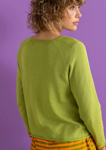 Pull en coton biologique/lyocell - kiwi