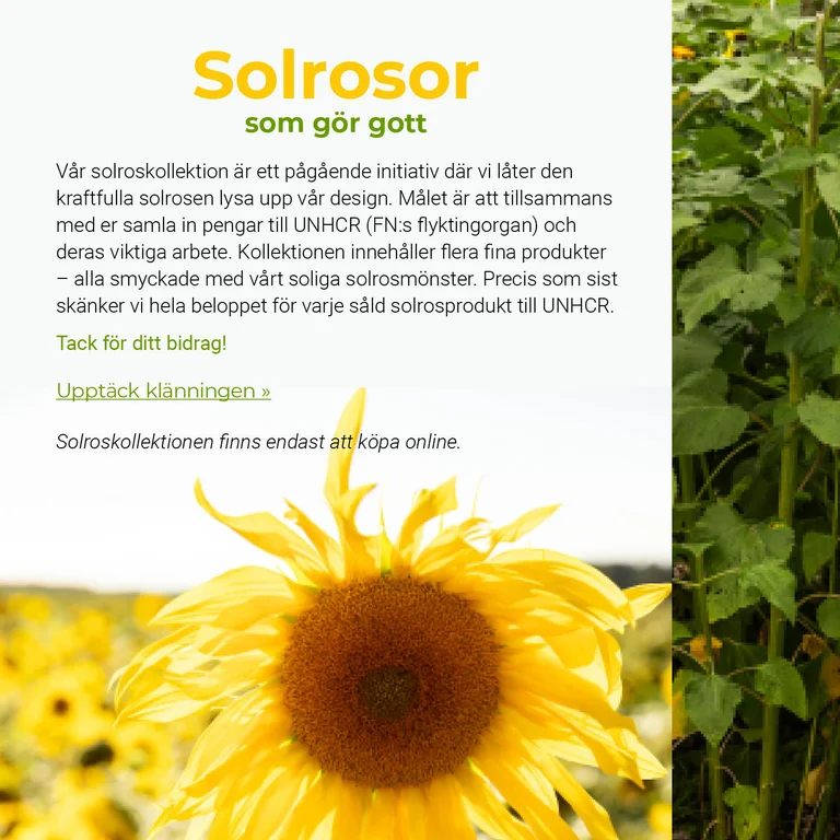 Sunflowers that do good