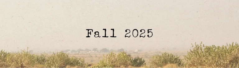 Autumn collection 2025