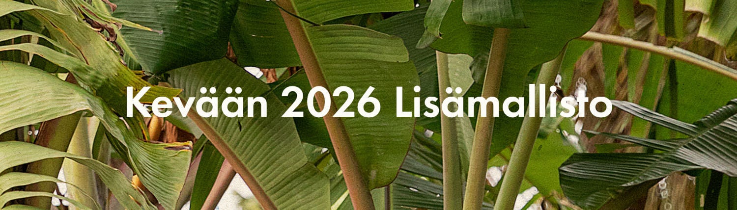 Spring extra collection 2026