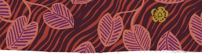 Subscribe to our colourful newsletter