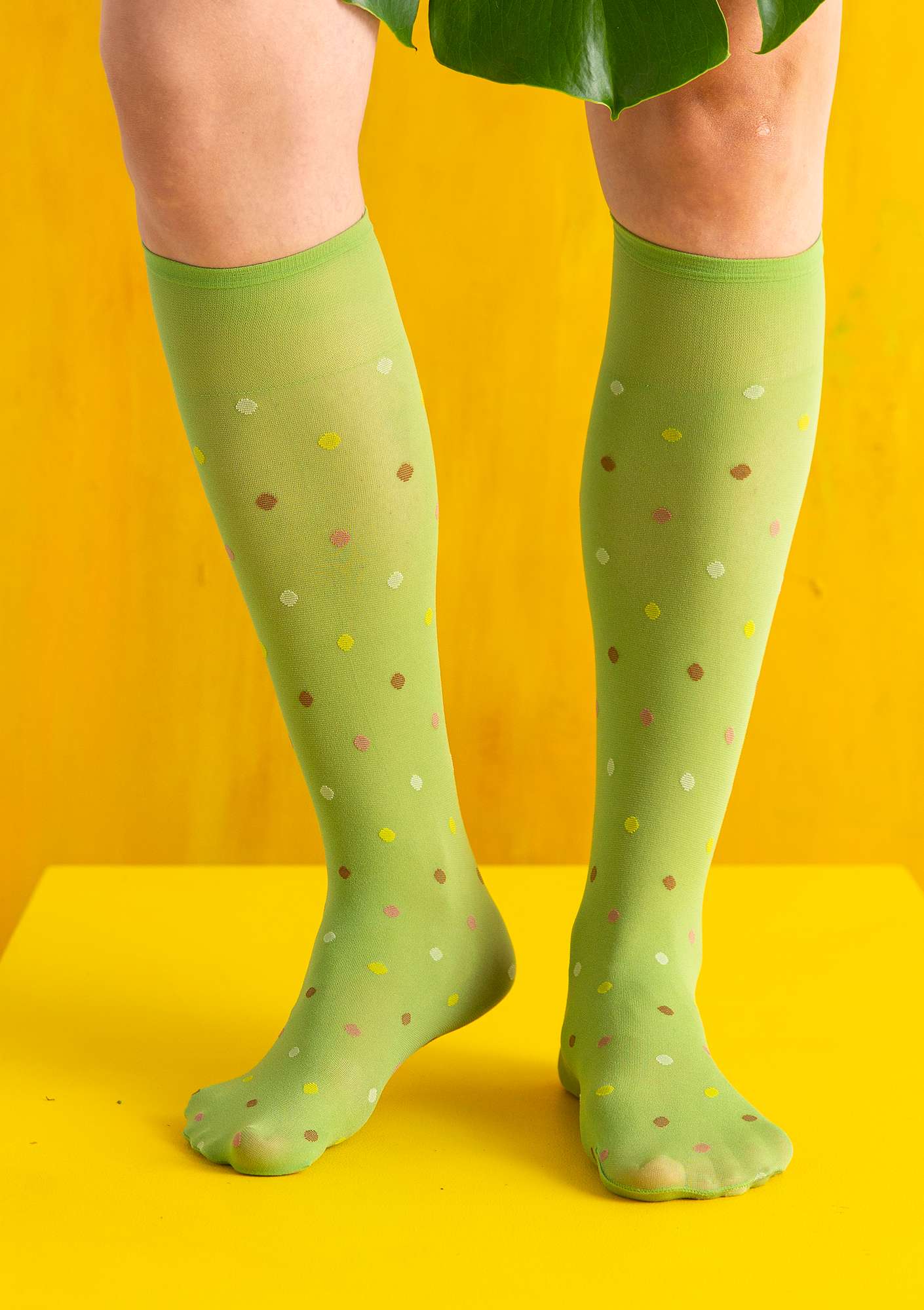 Dotted knee-highs 