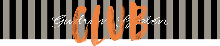 A graphic image of grey and black stripes with the words “Gudrun Sjödén Club”.