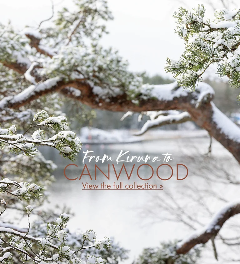 A winter landscape with snow-covered treetops in front of a lake. 