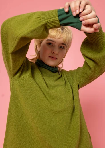 Pull en laine - avocat
