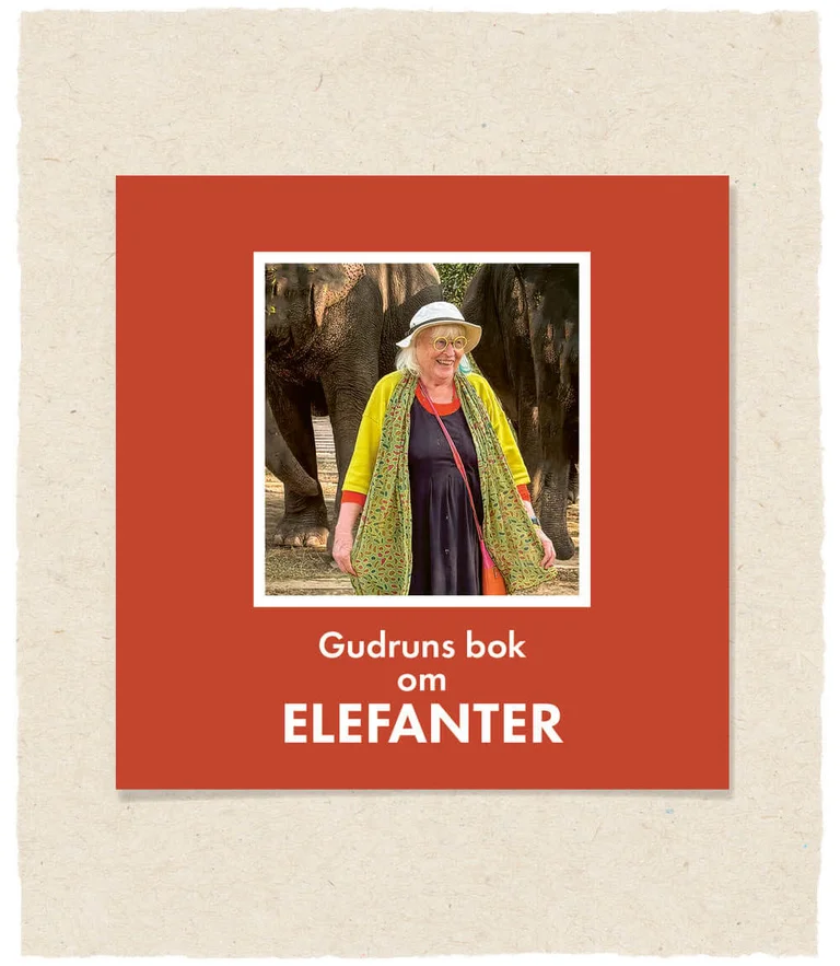 Omslaget på Gudrun Sjödéns bok om elefanter, der Gudrun selv smiler foran to elefanter.