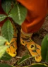 Chaussettes "Galapagos" en bouclette de laine mélangée (fauve S/M)