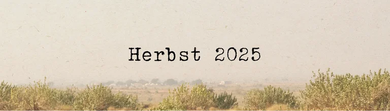 Autumn collection 2025