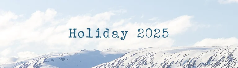 Christmas collection 2025