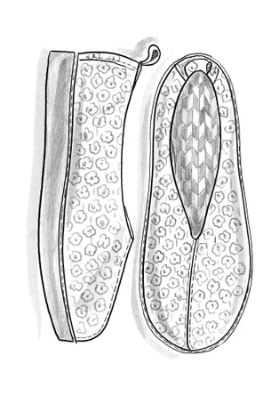 Suède schoenen "Myrten" - moerbei