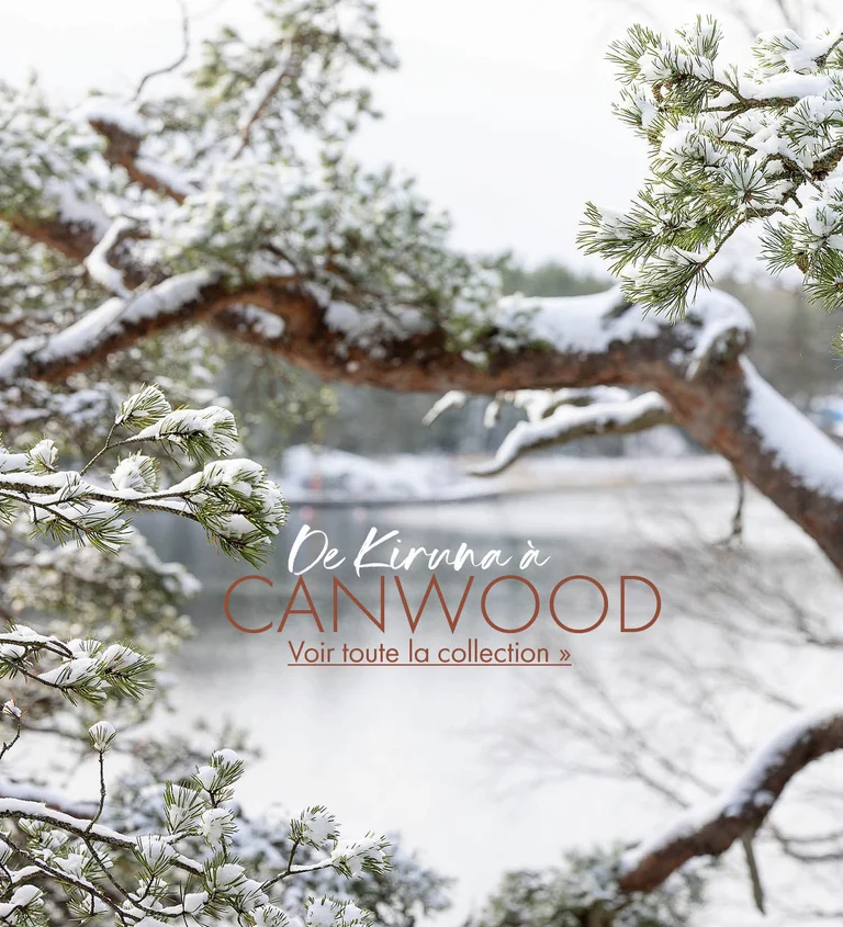 Un paysage hivernal avec des branches recouvertes de neige devant un lac.   