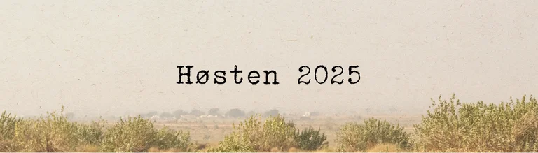 Autumn collection 2025