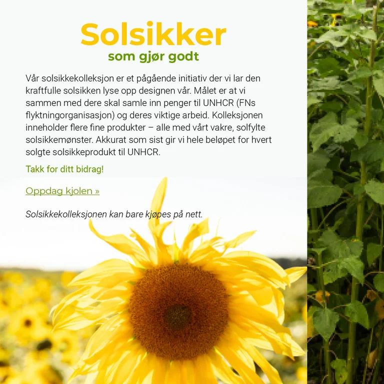 Sunflowers that do good