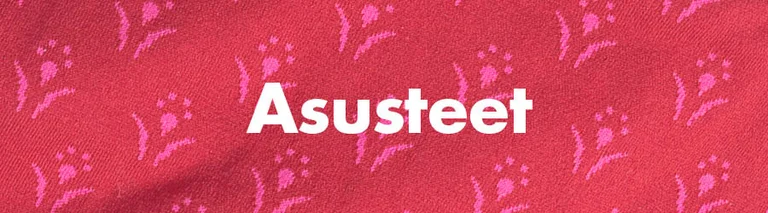 Raidallinen kuvio, jossa valkoinen teksti ”Asusteet”.