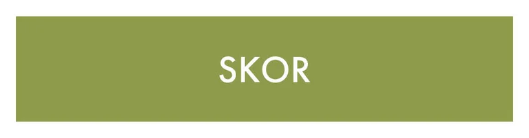 En grön ruta med texten ”Skor” i vitt. 