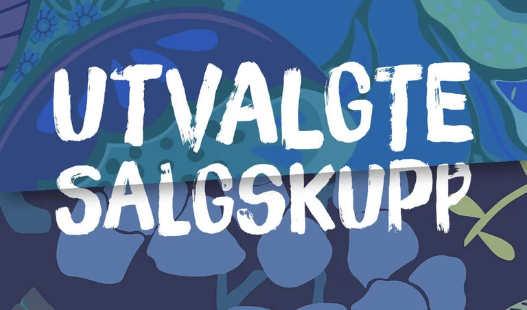 Et grafisk mønster i ulike farger med teksten UTVALGTE SALGSKUPP i hvitt.