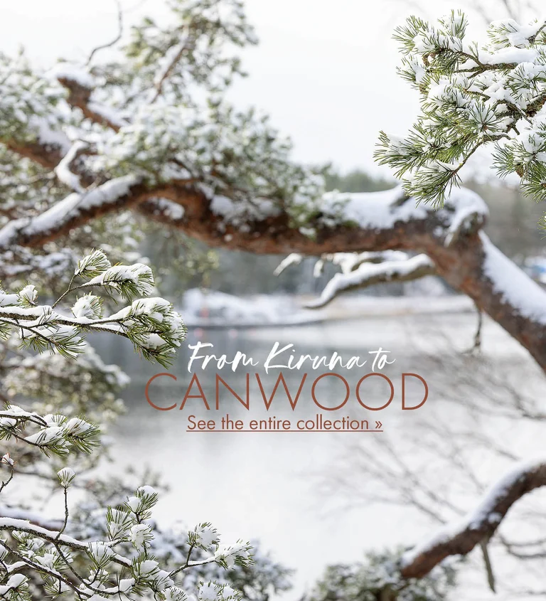 A winter landscape with snow-covered treetops in front of a lake. 