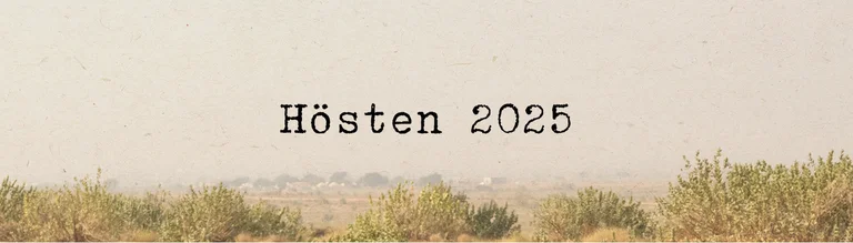 Autumn collection 2025