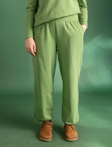 “Stella” jersey pants in organic cotton/spandex - koriander