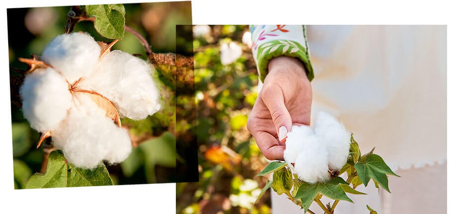 Organic cotton material