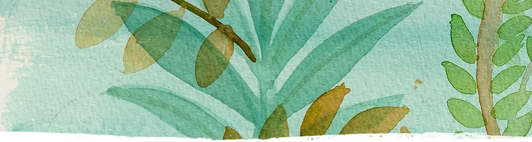 Subscribe to our colourful newsletter