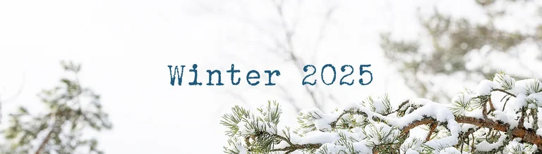 Winter collection 2025