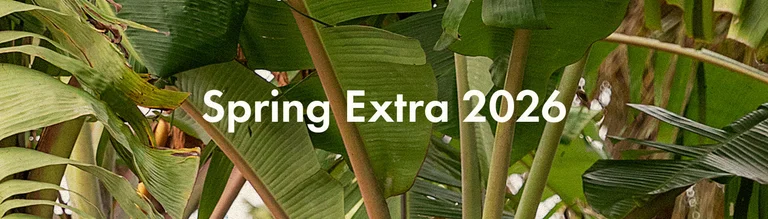 Spring extra collection 2026