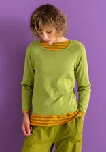 Sweater in organic cotton/lyocell - kiwi