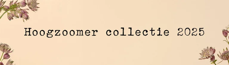 Hoogzoomer collectie 2025