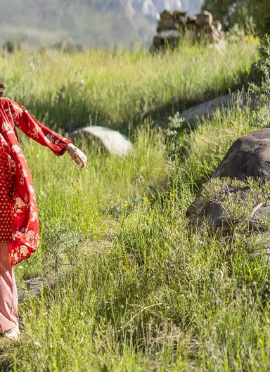 Inspiration Natural dyes