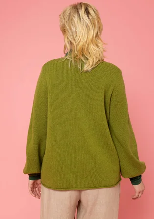 Pull en laine - avocat