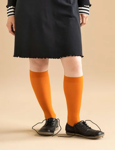 Striped knee-highs in recycled polyamide - masala